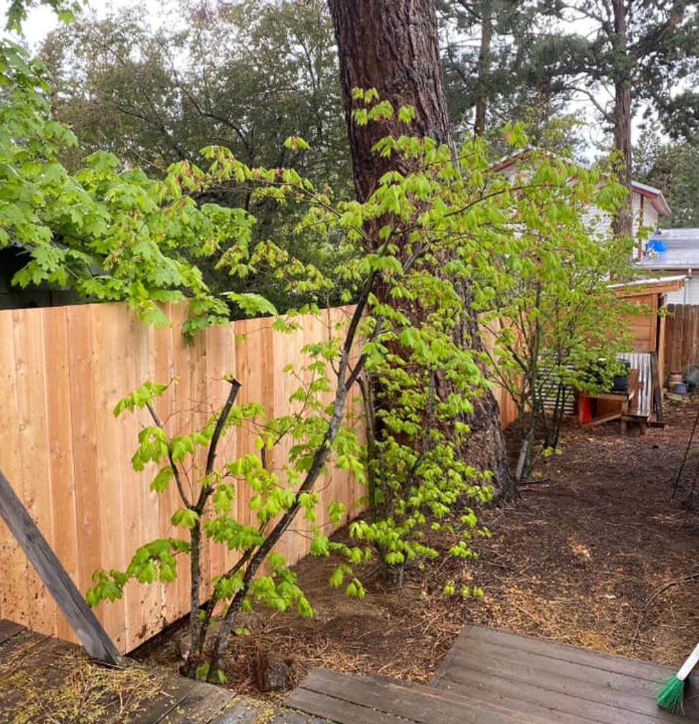 cedar fence installation